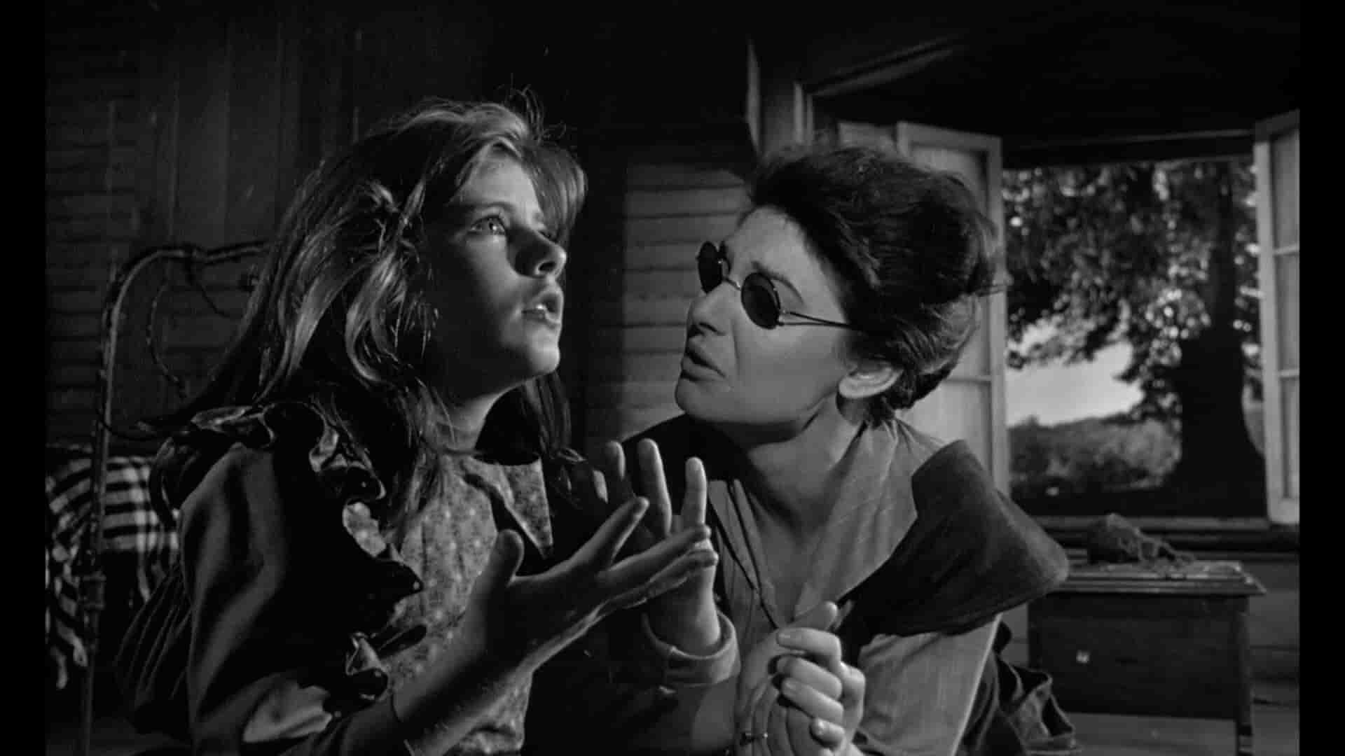 The Top 50 Greatest Teacher Movies Of All Time