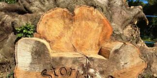 The Power of Storytelling