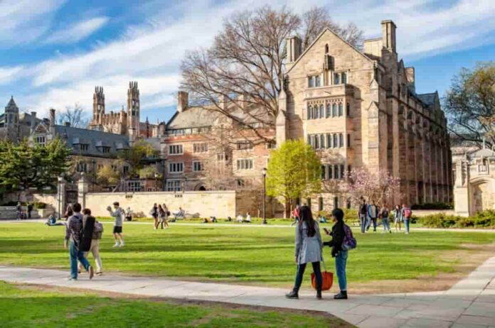 Can You Get Into An Ivy League School With Cs? ivy league schools