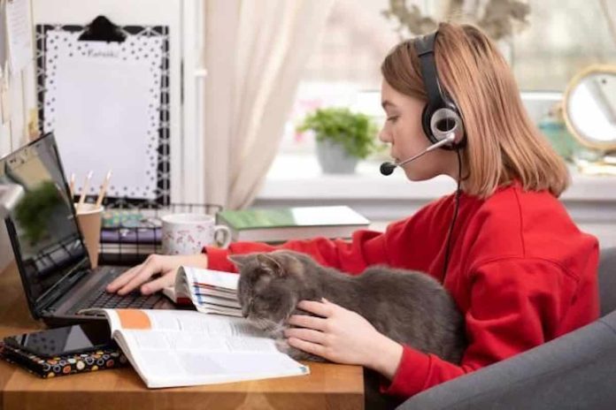 Online Veterinary Education A Trending Way of Learning Veterinary Education