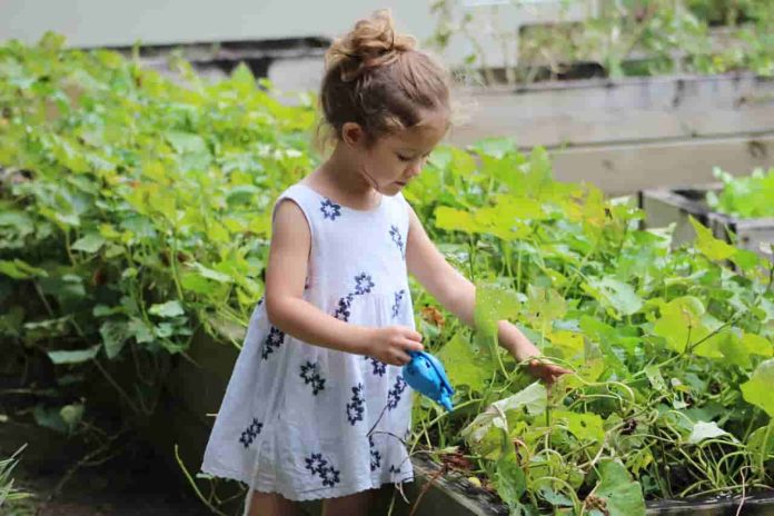 10 Fun And Engaging Methods For Teaching Kids About Gardening Garden