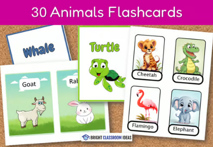 Human Body Flashcards, Activities & Worksheets for Kids