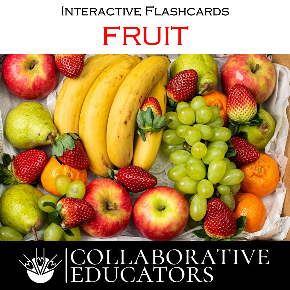 Human Body Flashcards, Activities & Worksheets for Kids