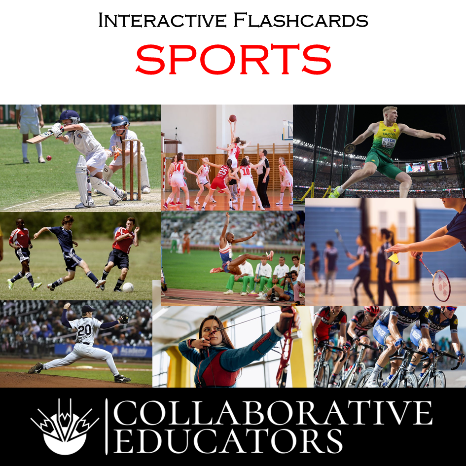 Human Body Flashcards, Activities & Worksheets for Kids