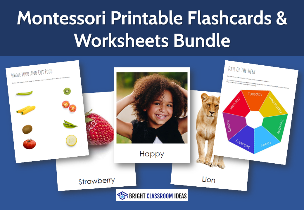 Human Body Flashcards, Activities & Worksheets for Kids